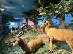 -国家自然博物馆