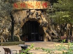 -扬州市茱萸湾风景区