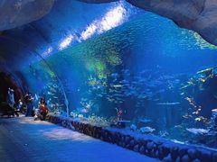 -华夏文旅海洋公园