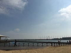 -碧海金沙
