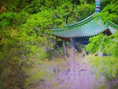 -太鲁阁公园