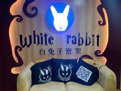 -白兔子密室(长寿路店)