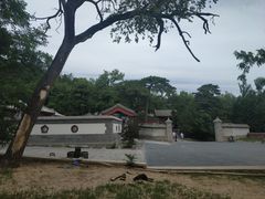 -阳台山自然风景区