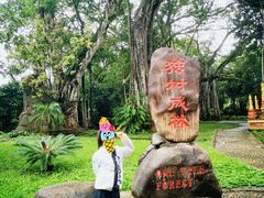 -瑞丽独树成林风景区