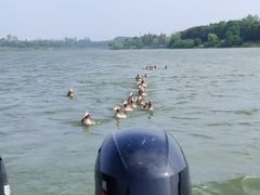 -东湖落雁景区