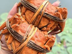 -水岸居湖景农家乐·阳澄湖大闸蟹