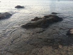-白城沙滩