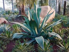 -南通洲际绿博园