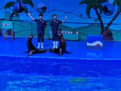 -石家庄极地海洋世界
