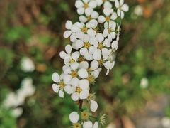 -上海吴淞炮台湾国家湿地公园