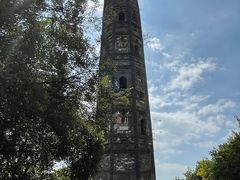 -上海佘山国家森林公园天马山园