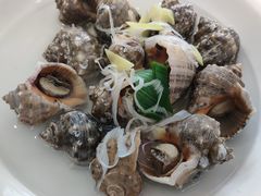 -望海潮海鲜店 特色家常菜(在海一方店)