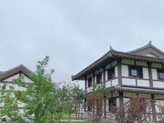-呼兰河口湿地公园