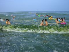 -日照海滨国家森林公园