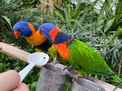 -南宫五洲植物乐园