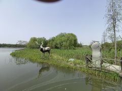 -溱湖国家湿地公园