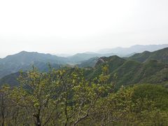 -六里坪国家森林公园
