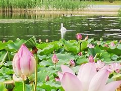 -太阳宫公园