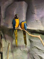 -Zoolung Zoolung动物主题公园(海信广场店)