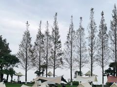 -上海美帆帆船露营基地