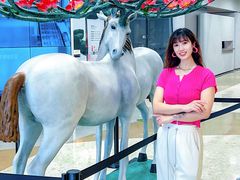 -红星美凯龙北京至尊MALL(东四环中路店)