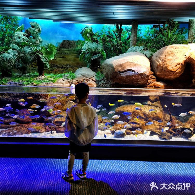 魔都探店：午后的上海海洋水族馆很好逛