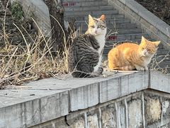 -四门塔风景区