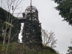 -三鹰之森吉卜力美术馆