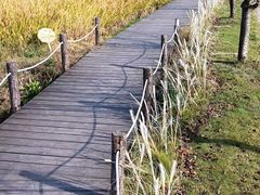 -东钱湖旅游度假区