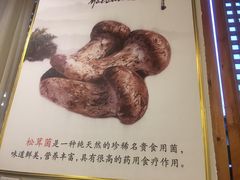 -阿鹏故事野生菌火锅(双廊古镇店)