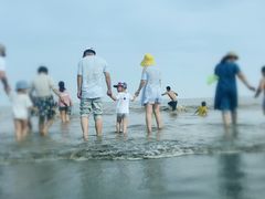 -南汇嘴观海公园