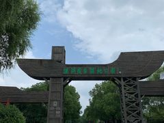 -溱湖国家湿地公园