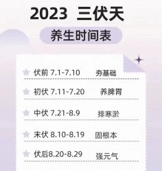 -YESIDO椰岛美容