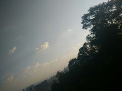 -金鸡山公园