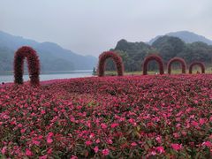 -广州市石门国家森林公园