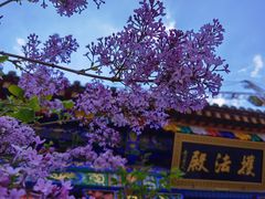 -五台山风景区