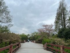 -上海滨江森林公园