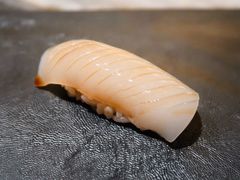 大王乌贼-橼舍鮨青木