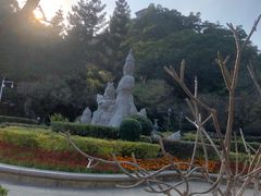 -金鸡山公园