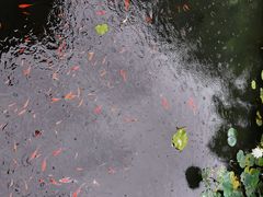 -三苏祠