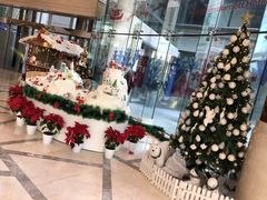 -上海雅居乐万豪侯爵酒店