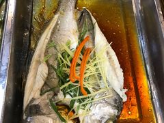 清蒸海鲈-顺徕德仙庙烧鸡(荔湾总店)
