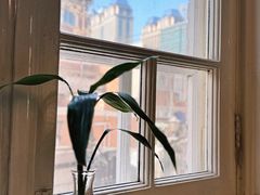 -华竹食府(南海路店)