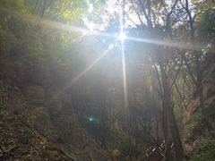 -大岭沟猕猴桃谷风景区