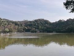 -西樵山风景名胜区-天湖公园