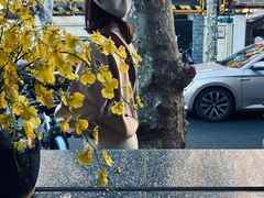 -Apollo·西班牙小酒馆(安福路店)