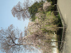 -西安青龙寺遗址景区