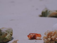 -环滩岛