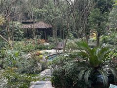 -青城道汤池