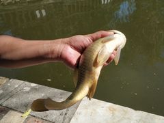 -酷鱼垂钓CLUB(朝阳区博大路店 )